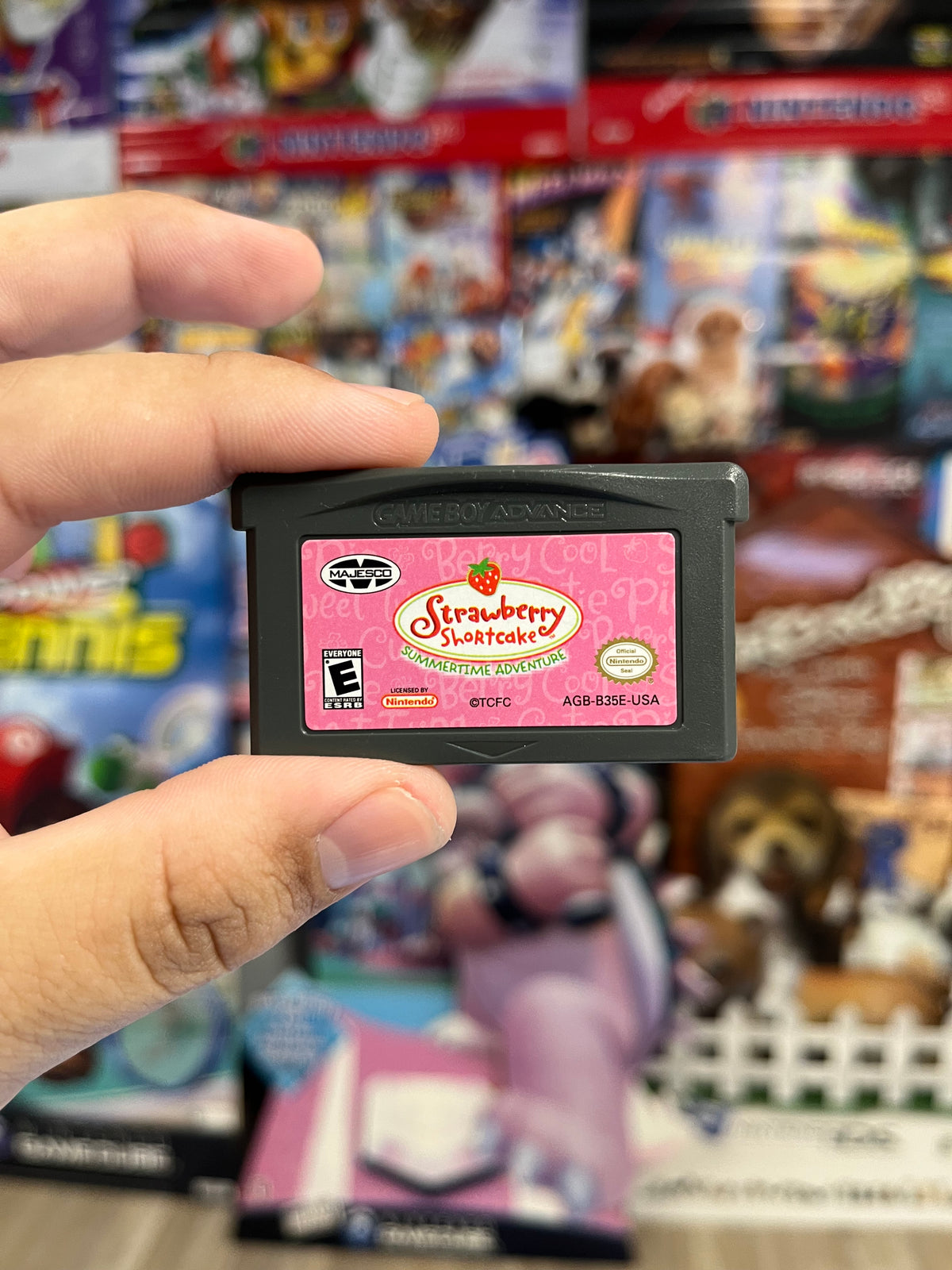 Strawberry Shortcake Summertime Adventure - GBA Loose