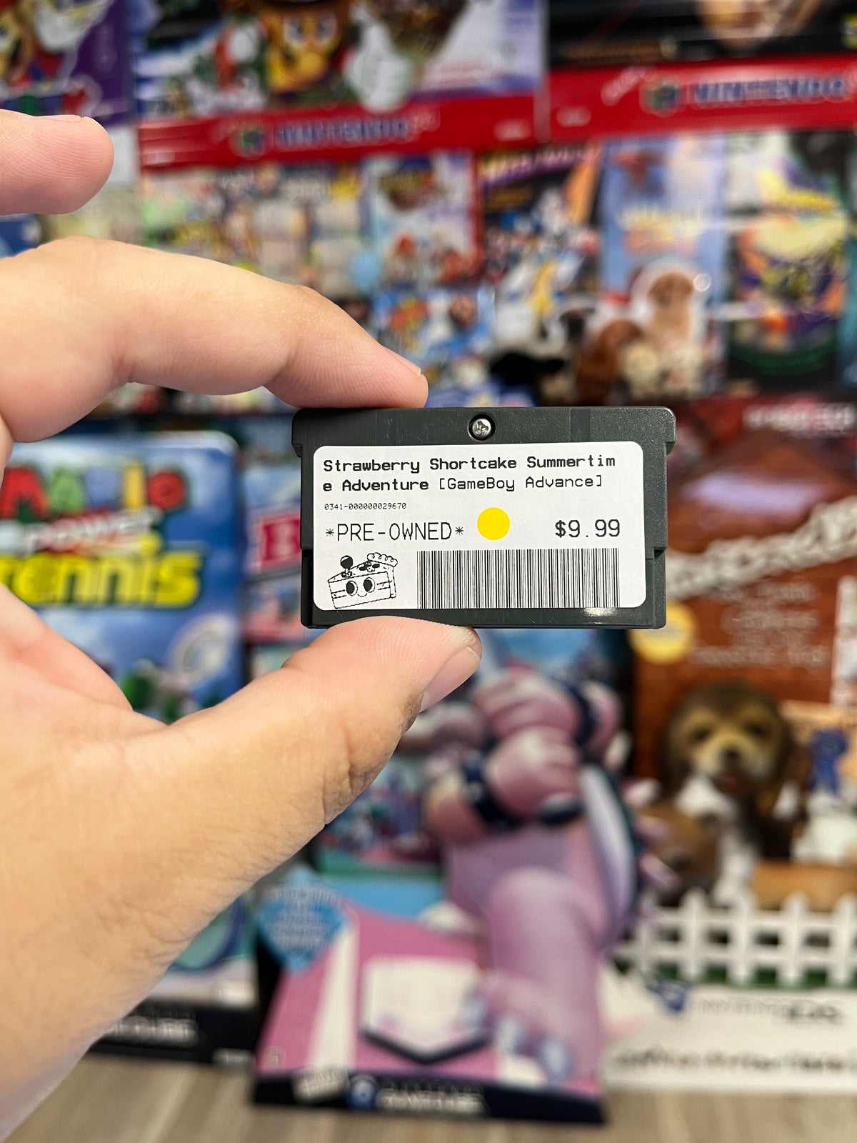 Strawberry Shortcake Summertime Adventure - GBA Loose