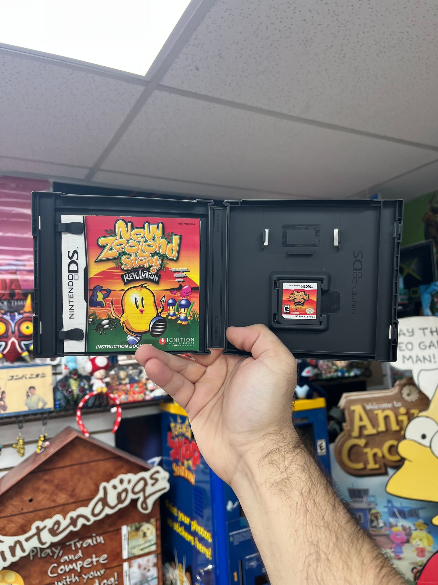 New Zealand Story Resolution - DS CiB