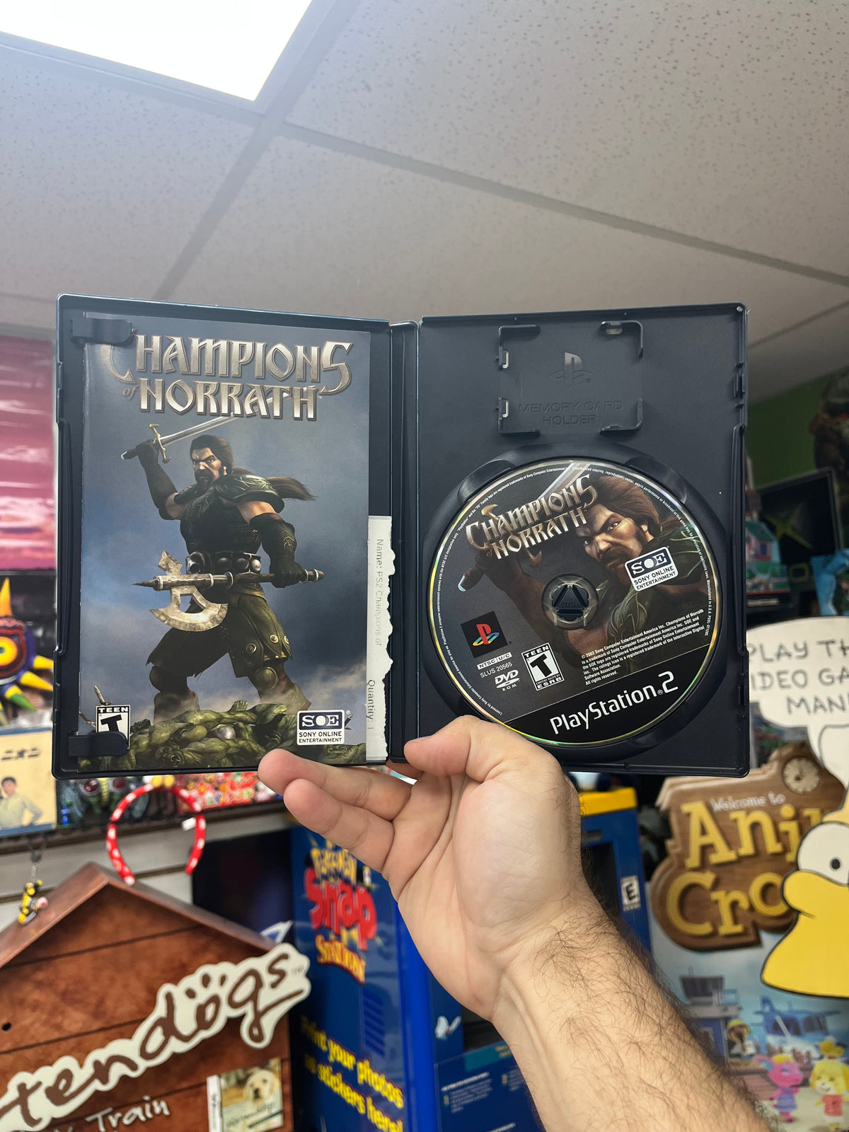 Champions of Norrath - PS2 CiB