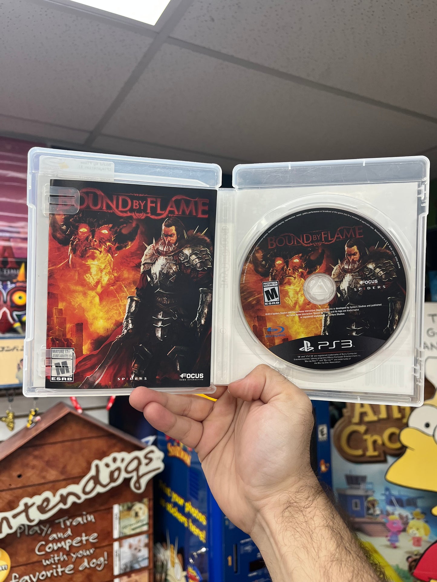 Bound by Flame - PS3 CiB