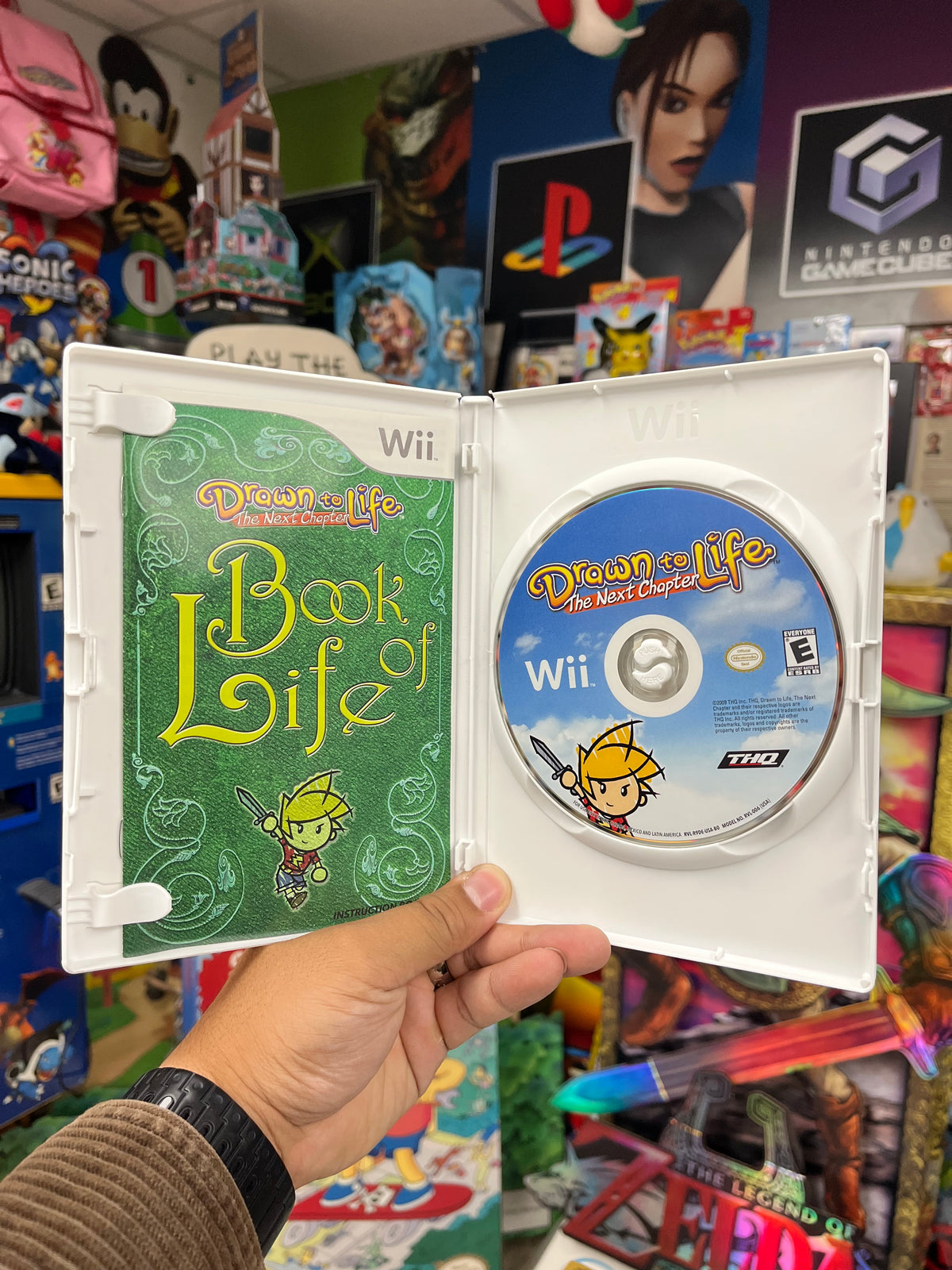Drawn to Life the Next Chapter - Wii CiB