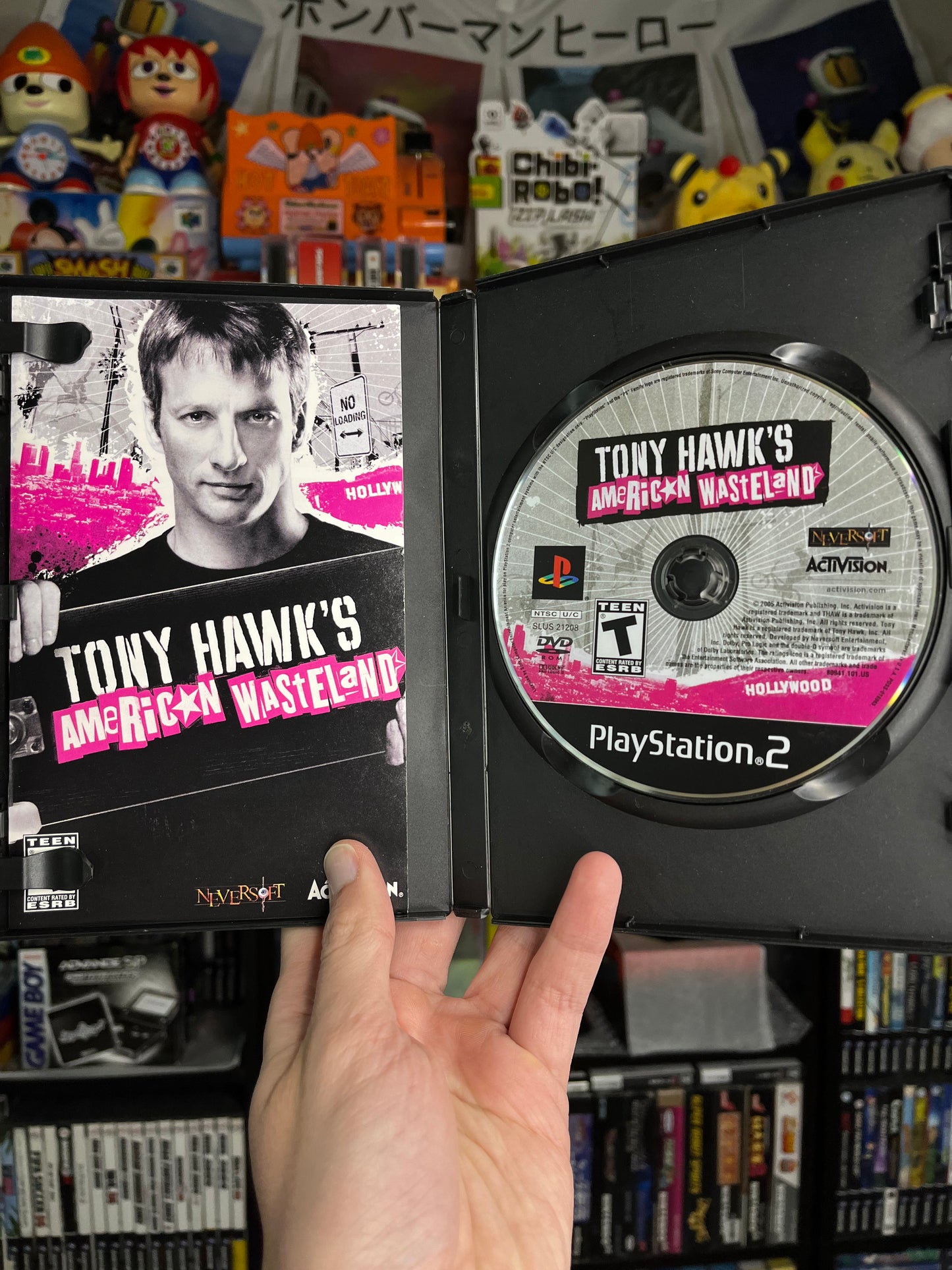 Tony Hawk's American Wasteland PS2 CIB