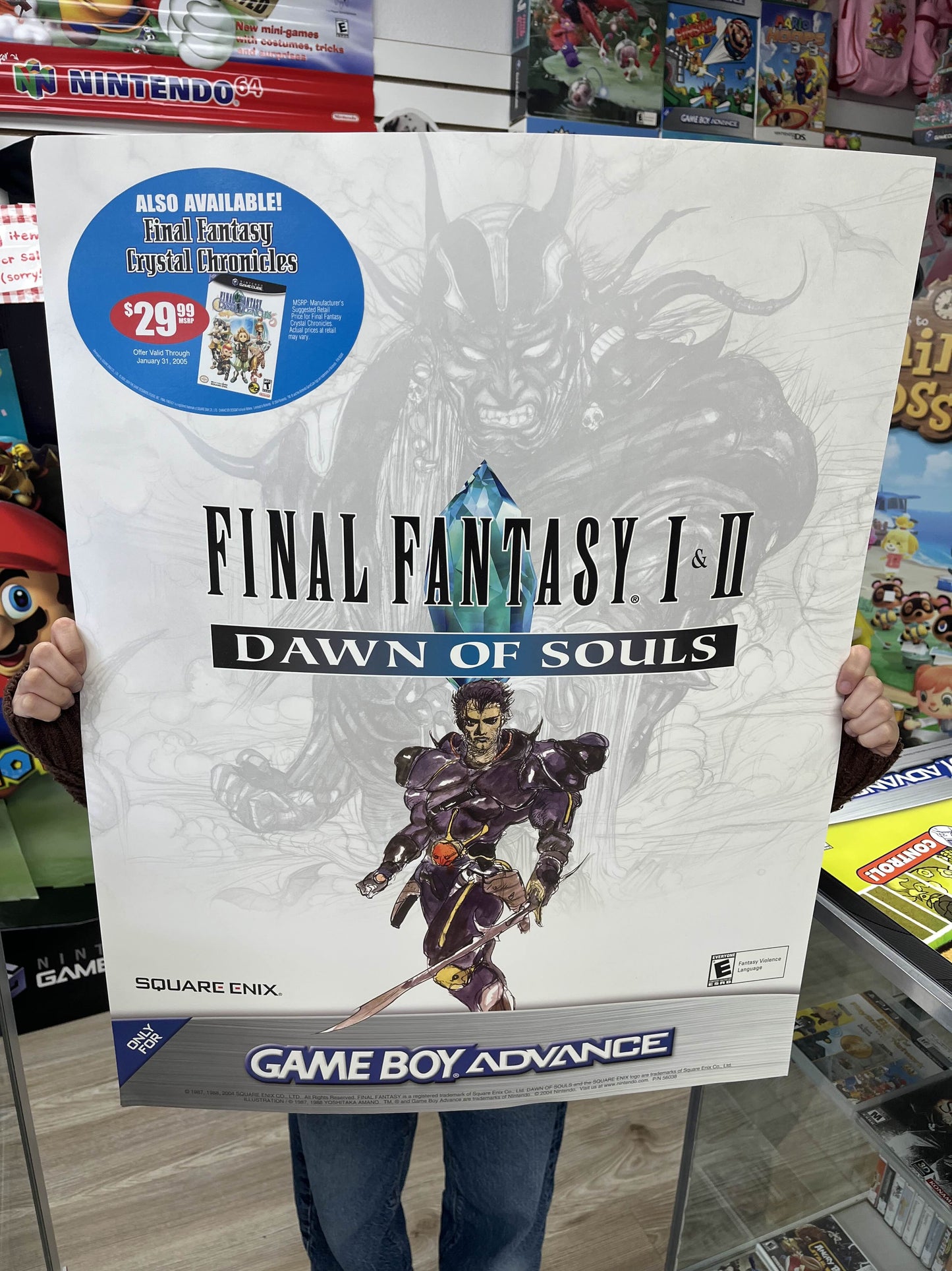 Final Fantasy 1 & 2 Dawn of Souls Promotional Store Display Poster