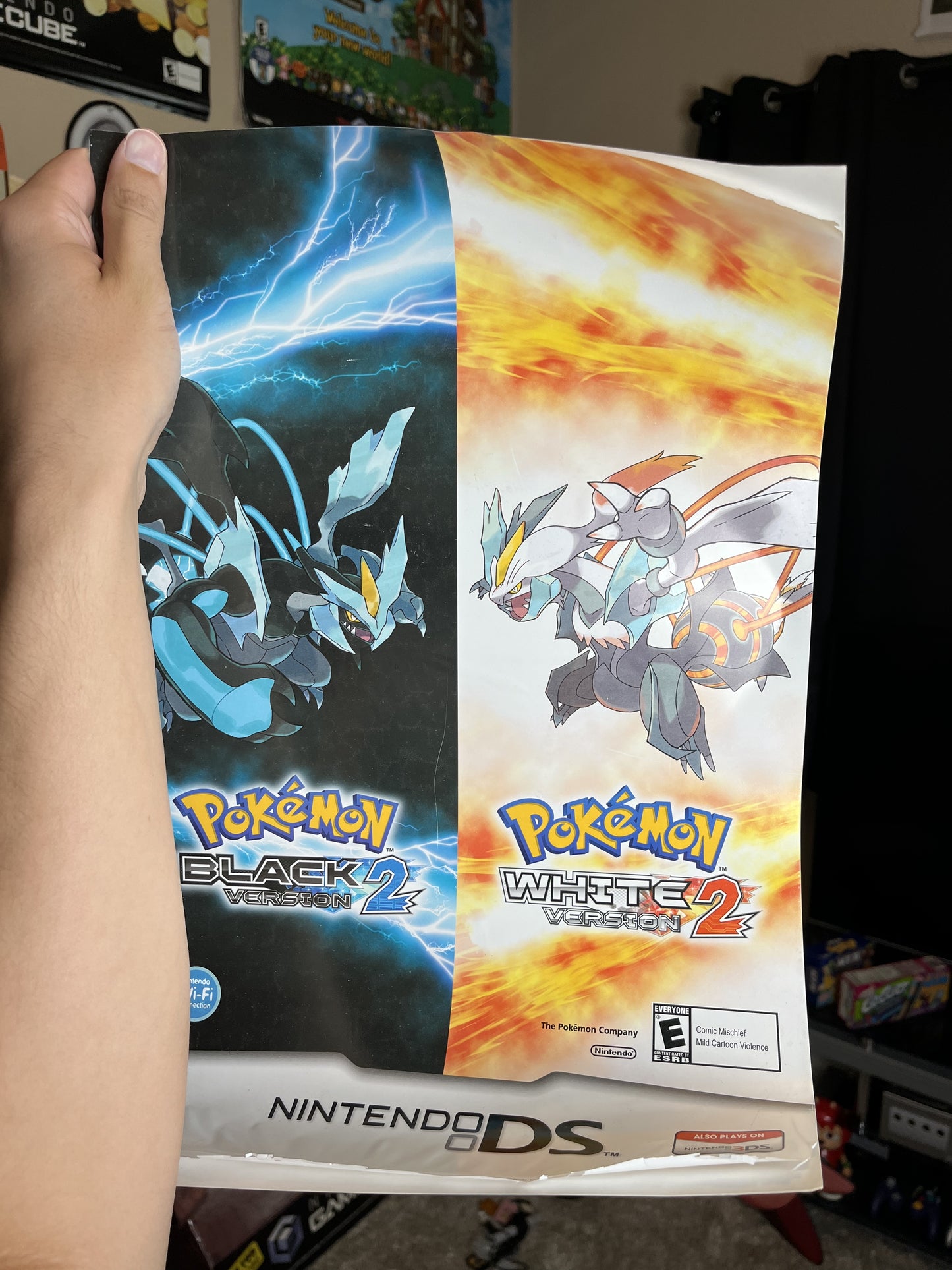 Pokemon Black 2/White 2 Promo Window Poster