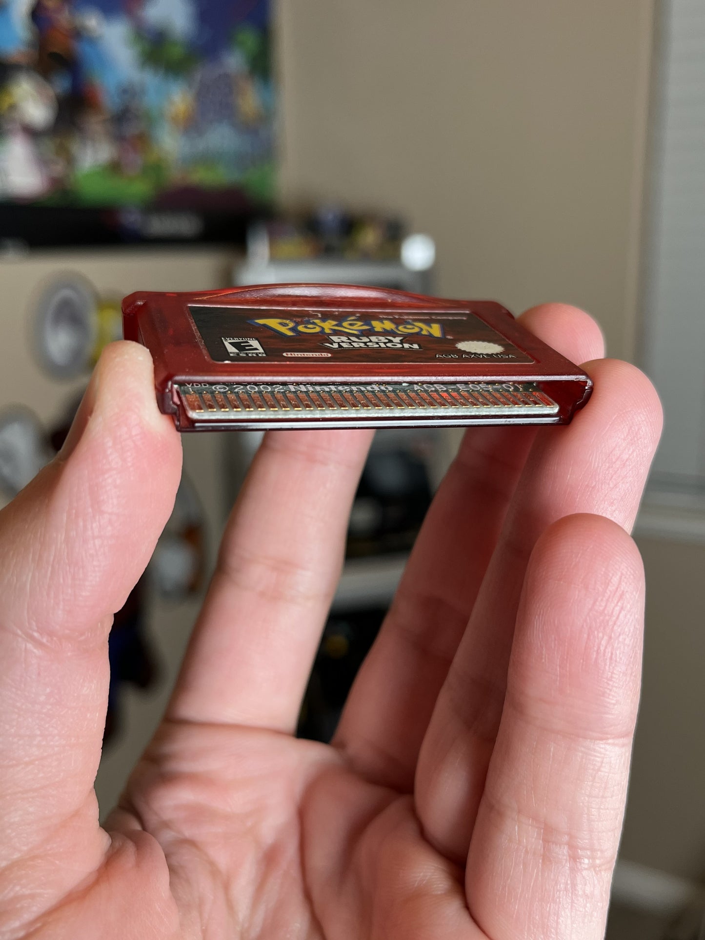 Pokemon Ruby GBA Tested