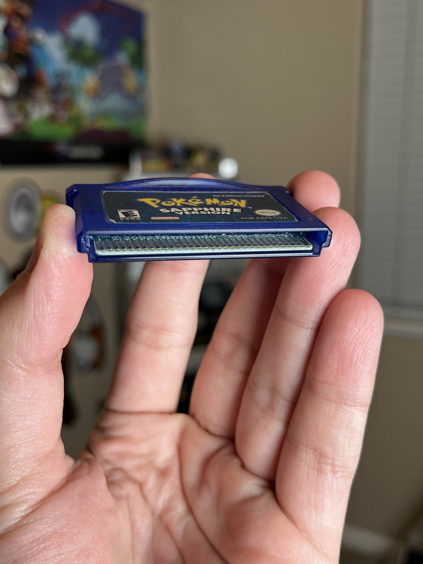 Pokemon Sapphire GBA Tested